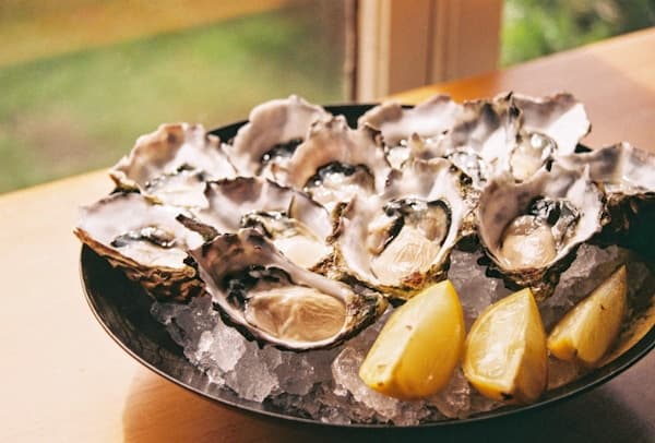 A plate of raw oysters served on ice with lemon