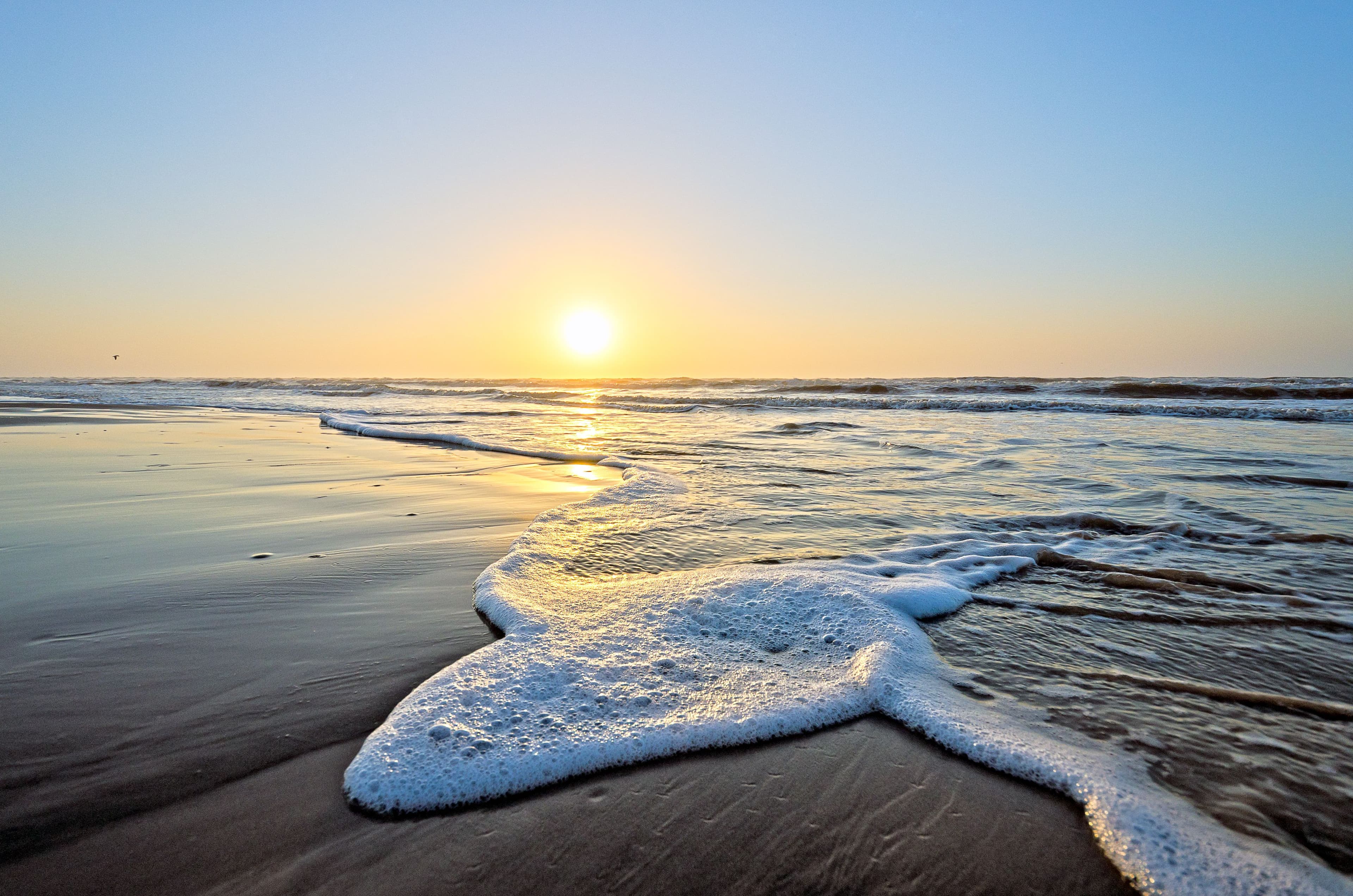 Sunrise over a calm Gulf shoreline